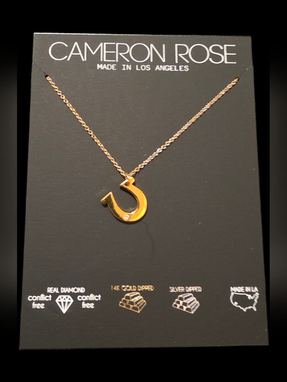 Horseshoe Charm Necklace